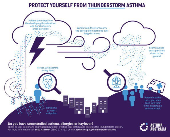 Thunderstorm-asthma-infographic.jpg