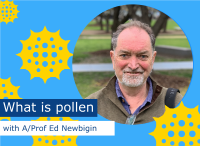 What is Pollen Podcast
