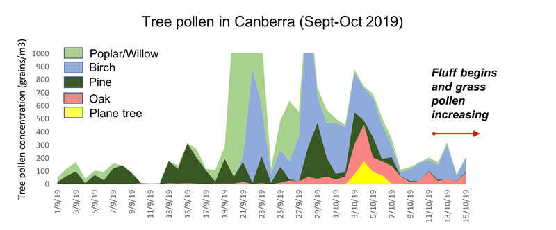 Tree pollen Sept-Oct 15 2019.png