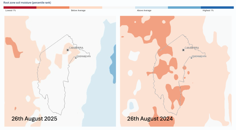Canberra Pollen Seasonal Outlook Figure 1