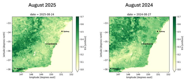 Canberra Pollen Seasonal Outlook Figure 2