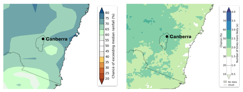 Canberra Pollen Seasonal Outlook Figure 3